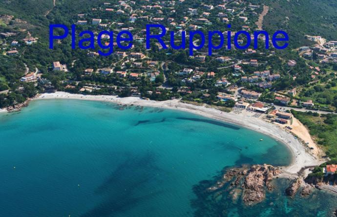 Vue Mer Panoramique Plage 50M Porticcio Corse Exteriör bild