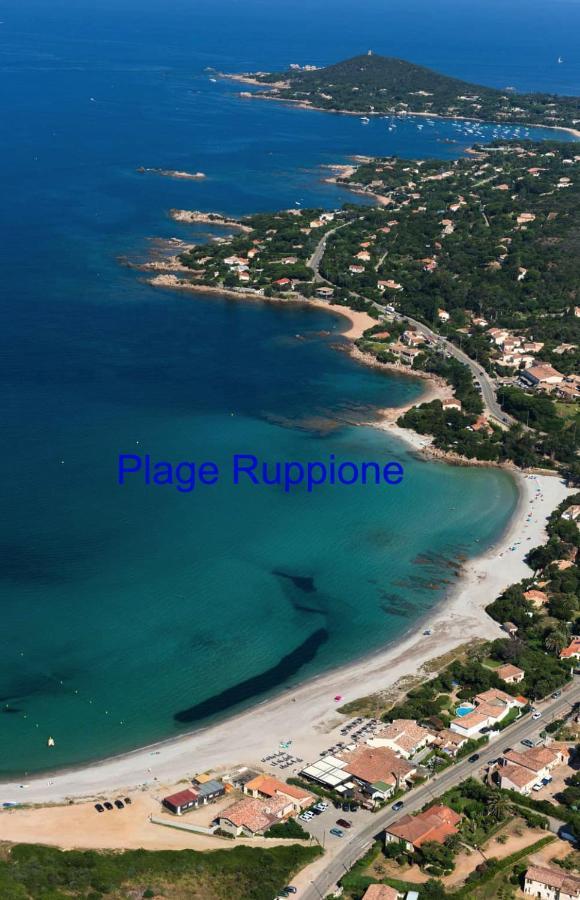 Vue Mer Panoramique Plage 50M Porticcio Corse Exteriör bild