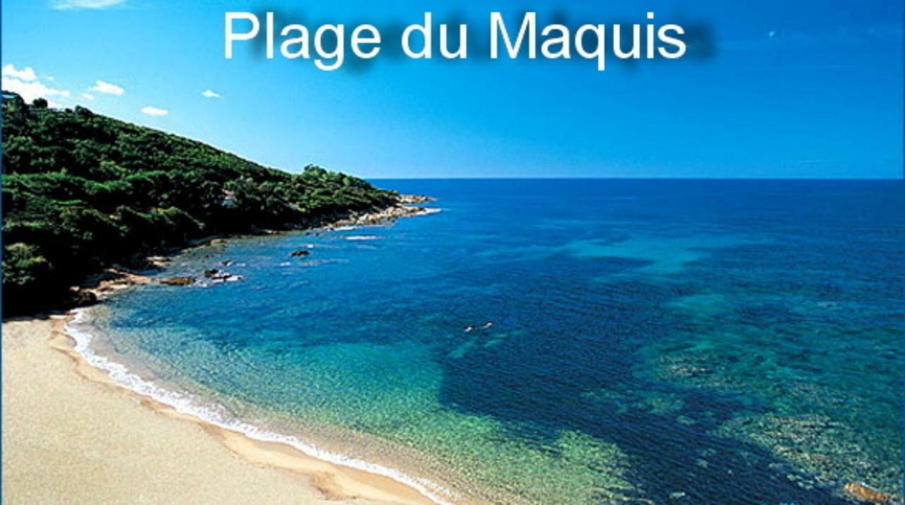 Vue Mer Panoramique Plage 50M Porticcio Corse Exteriör bild